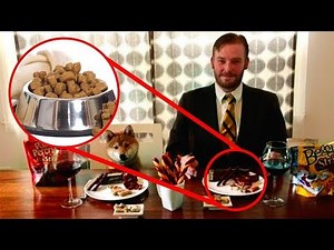 WEIRDEST Jobs Around The World!