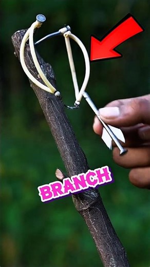 Destroying a Target with a Simple Tree Branch!