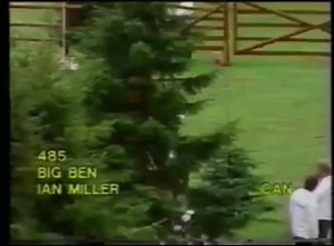 Big Ben and Ian Miller in the 1986 Hamburg Derby | The Equestrian Network