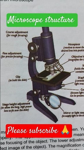 #shorts 🔬 Microscope Structure | Class 9 Science | Easy Diagram & Parts of Microscope #microscope