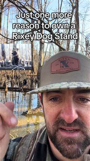 From cypress knee to giant tree…..we’ve got you covered! #duck #dogstand #lab #boykin #woods