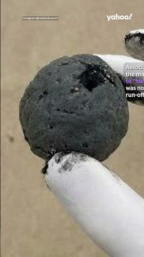 Gross truth behind mysterious Sydney beach ‘tar balls’ revealed | #shorts #yahooaustralia