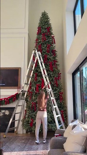 and the back of this tree is none of my business