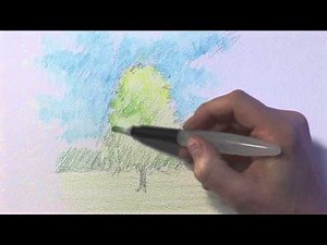 Sketching a Tree with Watercolour Pencils - with Artist Jonathan Newey