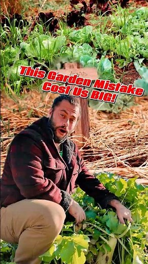I Planted Too Many Tomatoes (Big Mistake) #gardening #homesteading #fail