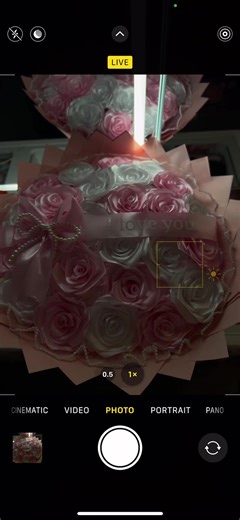 Stunning Pink and White Roses to Brighten Your Day