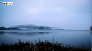 "That looked like a bird!" Watch the amazing moment a murmuration of starlings takes on the shape of a giant bird over Lough Ennell in Co Westmeath. | RTÉ News