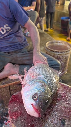 Big Katka carp fish cutting skills #shorts