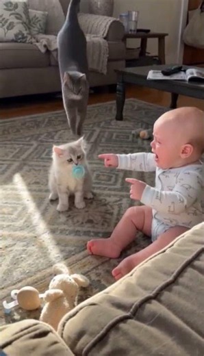 The Sweetest Baby and Kitty Moment Ever #cats #baby #animals