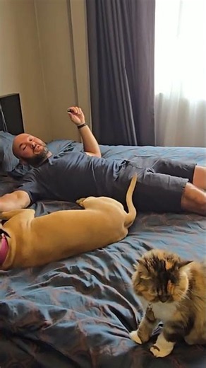 Fix your bad mattress instantly! This 3-inch cloud topper is pure genius 🤯🛏️