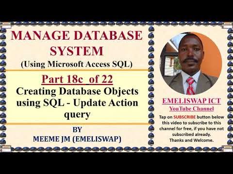 Creating Relational Database Objects using SQL in Microsoft Access - Update query