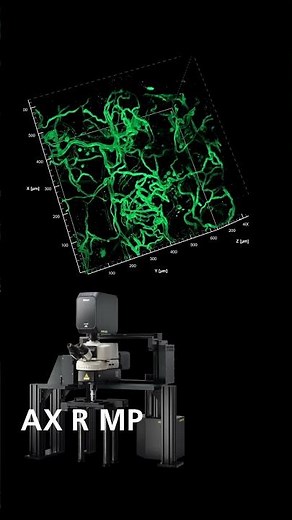AX R MP | Nikon’s Multiphoton Confocal Microscope