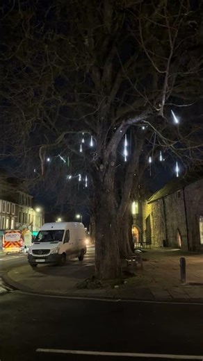 Falling Snow Christmas Lights In Tree ❄️🌨️ #christmaslights #christmaslightshow