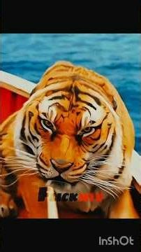 "TRUST IS A GAMBLE, BUT THE PAYOFF IS PRICELESS"#movieedits #film #movie #trust #love #edit