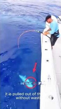 Unbelievable Deep Sea Fishing | Fishermen Catch 20KG Giant Fish | Lucky Day at Sea