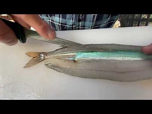 How to fillet a Garfish. The Best Way. Zero Waste, Perfect every time. South Australia