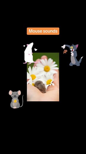 Animal Sounds on TikTok