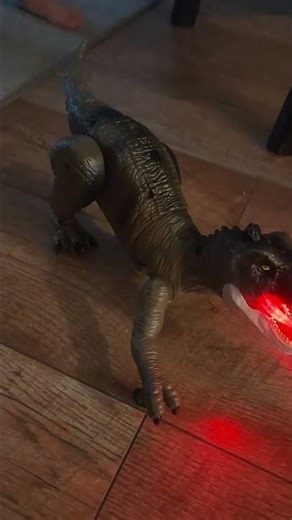 Remote control T-Rex toy breathing fire like, my boy loves it.