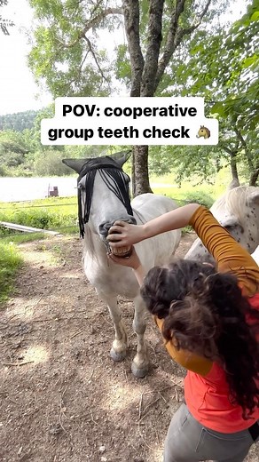 1.7K views · 171 reactions | Fun group practice at teeth check and...