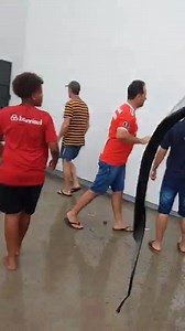 1.4M views · 12K reactions | Ciclone que entra no RS já faz estragos na cidade de Butiá Fortes rajadas de ventos atingiram a cidade de Butia na tarde deste domingo (15), a ventania arrancou o telhado da quadra de futebol do Centro de Treinamento (CT), na Rua do Comércio. No local estava acontecendo uma confraternização de final de ano da escolinha de futsal do Trianon. Fonte: Jornal Butiá Notícias | Rádio Gazeta Do Jacuí | Facebook