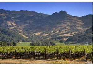 Napa geology page