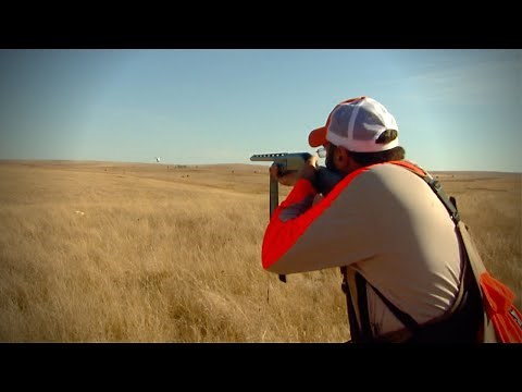 Hunting South Dakota Prairie Chickens (Classic 2015)