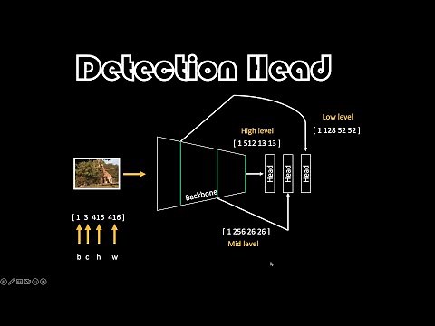Detection Head | Essentials of Object Detection