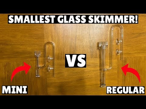 The SMALLEST Glass Skimmer! - FZONE Nano Lilly Pipe Set