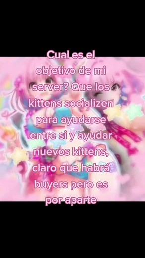 dc kittens <3 on TikTok