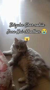 Shizuka Ko bhi nahin Jana hai ghar chhod ke 😱 owner log ko Kitna aasan hota hai bolna Ghar Khali ko