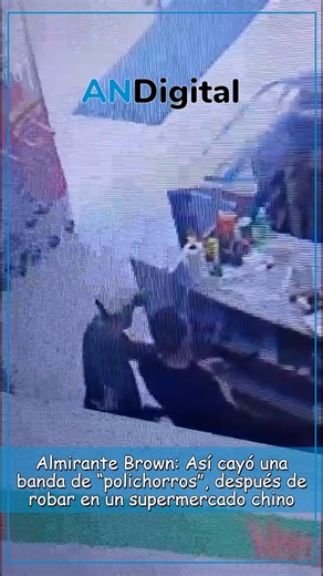 ANDigital on Instagram: "🔫 Un efectivo policial perteneciente a la Unidad Táctica de Operaciones Inmediatas (UTOI) de Puente 12, donde tiene su base operativa el ministro de Seguridad bonaerense, fue detenido luego de asaltar un supermercado chino en Almirante Brown, en un hecho que fue captado por una cámara de seguridad. 🎦 El agente –junto a dos cómplices– fue interceptado tras una persecución y en la requisa se les secuestró $ 657.700 pesos en efectivo, un automóvil Volkswagen Vento y el ar