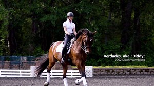 Dressage is one of the 8 disciplines you will see this September at the FEI World Equestrian Games™ Tryon 2018 and is the highest expression of horse training. Watch this US Equestrian video ⬇️, sponsored by Deloitte with USA Dressage Olympic Bronze Medalist Laura Graves and her horse Verdades and learn more about the sport of dressage: https://tryon2018.com/article/dressage | Tryon International Equestrian Center 2018