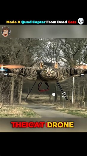 Made A Quadcopter From Dead Cats