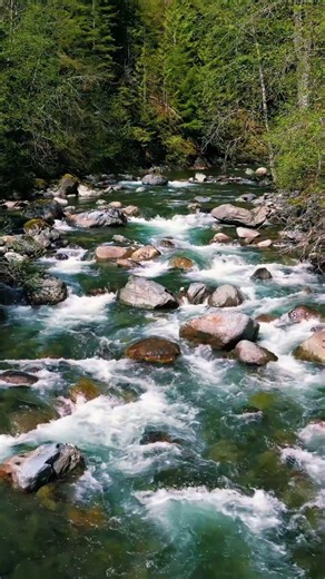 River Through the Forest 🌲🌊 Pure Peace