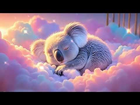 Gentle Moments 🐨 | Soothing Music with Baby Koalas for Relaxation and Stress Relief