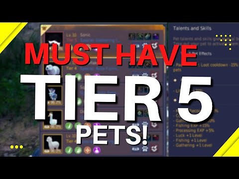 Tier 5 Pet Upgrade Guide for Black Desert Online