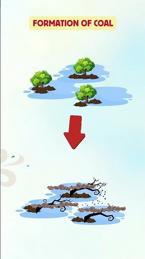 How Coal is Formed ? | Coal Formation | Carbonisation #shorts #e_learning