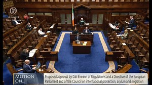 Deputy Alan Farrell - speech from 18 Jun 2024 Motion re Proposed approval by Dáil Éireann of the Regulations and a Directive of the European Parliament and of the Council on international protection, asylum and migration | VideoParliament Ireland
