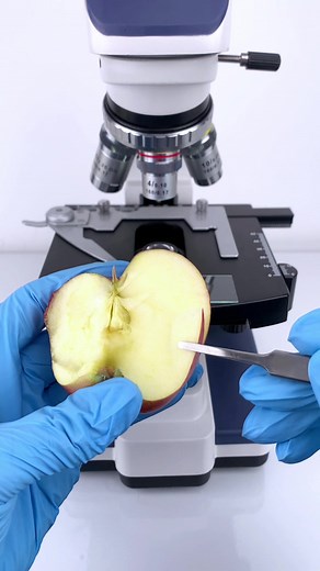 Exploring an Apple Under a Microscope | Amazing Close-Up Views