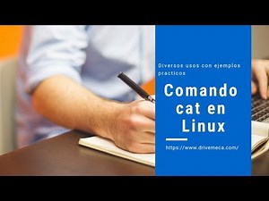 The cat command in Linux and its various uses with practical examples