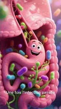 What is your appendix really for?