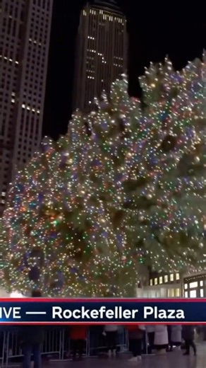 Cat DESTROYS the Rockefeller Christmas Tree on Live News