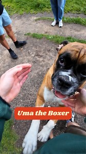 73K views · 1.6K reactions | "She's brilliant with kids - we'd only ever get boxers now" 凉 | My Best Friend | Facebook