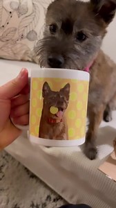 Coffee tastes better now.  Like this coffee mug? Got it here ➡️ https://pulse.ly/pg13fwp1vi | Alpha Paw Prints | Facebook