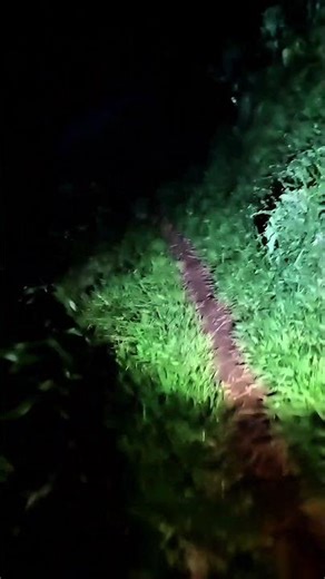 nyanyi lagu lingsir wengi, bener wa aya penampakan