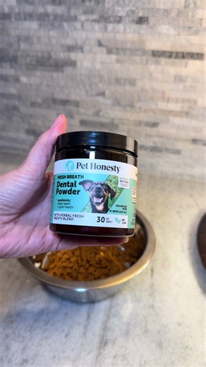 Effective Treatments for Your Dog's Bad Breath