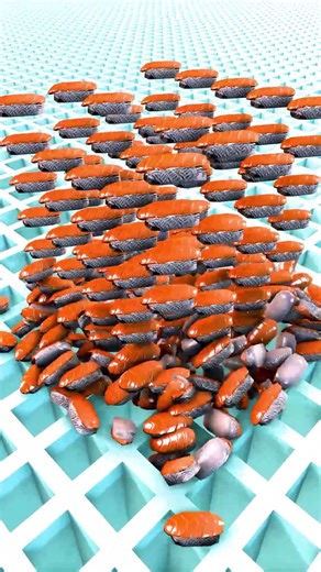 Sushi Nigiri Form Falling 157🥢🍣#roblox #3danimation #gaming