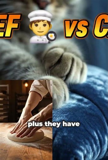 Why Do Cats "Make Biscuits"? 🍞 The Heartwarming Secret! 🐾 #thecatcode #cats #catshorts #usa