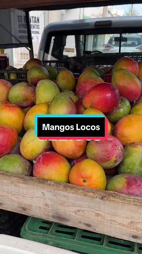 Deliciosos Mangos Locos en Mazatlán