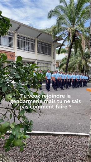 Gendarmerie de Polynésie française on Instagram: "🚔 La gendarmerie recrute dans plus de 300 métiers, opérationnels, techniques et administratifs. Il existe plusieurs portes d’entrée, selon ton âge, ton profil et ton projet. ➡️ GENDARME ADJOINT VOLONTAIRE 👮 Sur le terrain (GAV APJA) - 17 à 26 ans | Avec ou sans diplôme Équipier opérationnel, tu participes pleinement aux missions : - en brigade, - en unités spécialisées, - aux côtés des maîtres de chien, - en appui judiciaire ou en sécurité du q